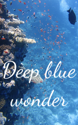 Deep Blue Wonder