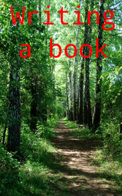Writing A Book