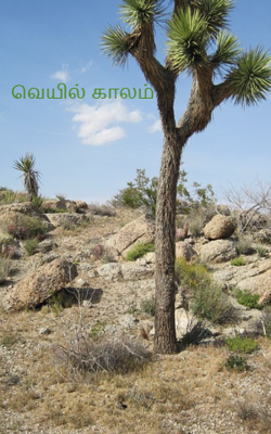 வெயில் காலம் 