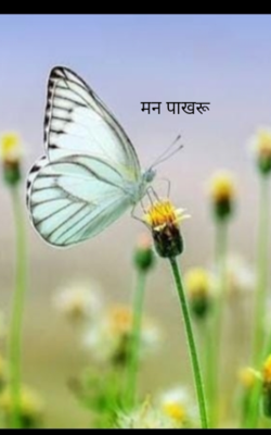 मन पाखरू