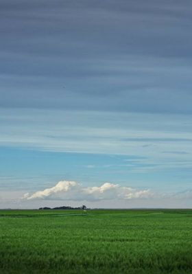 क्यों ना आज से एक नई शुरुआत की जाए
