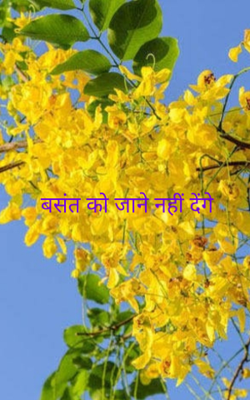 बसंत को जाने नहीं देंगे