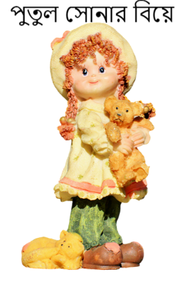 পুতুল সোনার বিয়ে