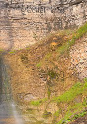 ବୁଢିଆଣୀ ଜାଲ