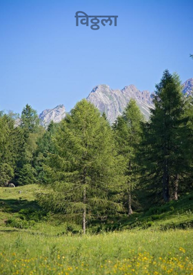 विठ्ठला