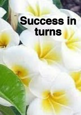 Success In Turns