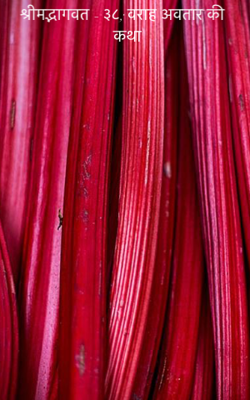 श्रीमद्भागवत - ३८; वराह अवतार की कथा