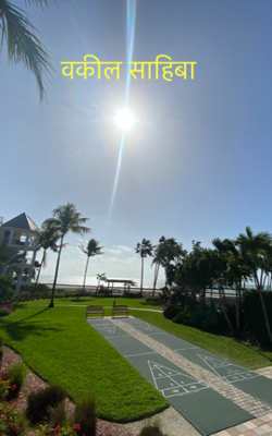 वकील साहिबा