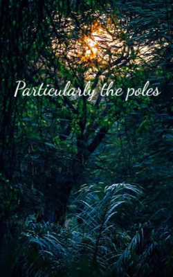 Particularly The Poles