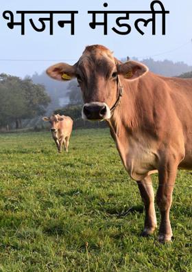 भजन मंडली