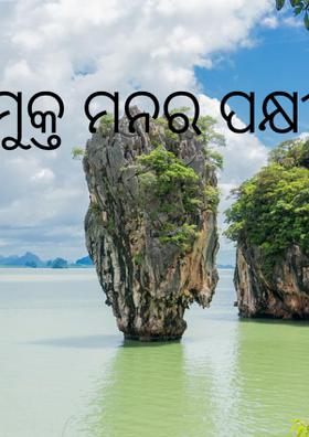 ମୁକ୍ତ ମନର ପକ୍ଷୀ