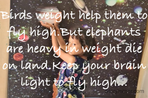 Birds weight help them to fly high.But elephants are heavy in weight die on land.Keep your brain light to fly high...