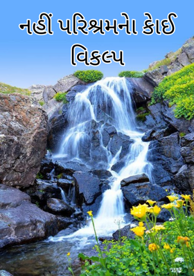 નહીં પરિશ્રમનો કોઈ વિકલ્પ