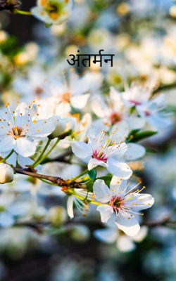 अंतर्मन