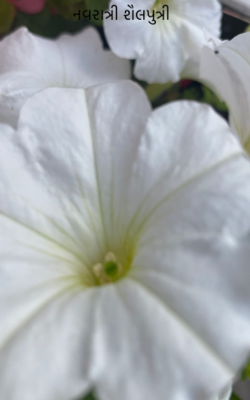 નવરાત્રી - શૈલપુત્રી