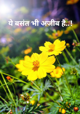 ये बसंत भी अजीब है..!
