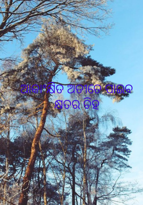 ଆକାଂକ୍ଷିତ ଅତୀତେ ପାଇବ କ୍ଷତର ଚିହ୍ନ