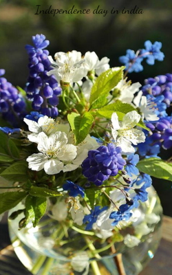 Independence Day in India