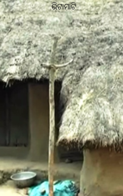 ଭିଟାମାଟି