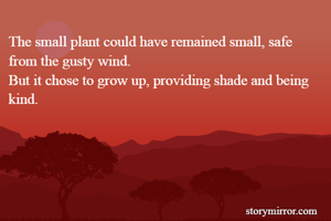 The small plant could have remained small, safe from the gusty wind.
But it chose to grow up, providing shade and being kind.