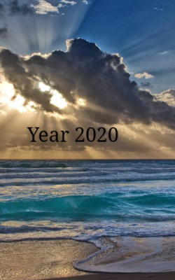 Year 2020