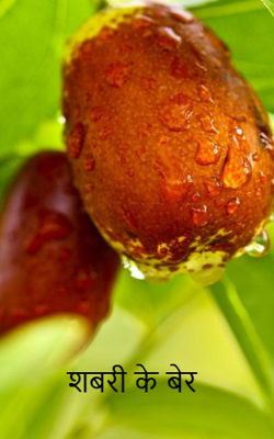 शबरी के बेर