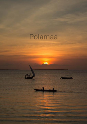Polamaa