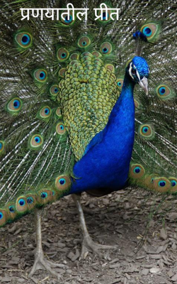 प्रणयातील प्रीत