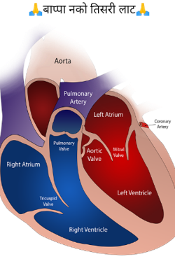 🙏बाप्पा नको तिसरी लाट🙏