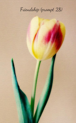 Friendship (prompt 28)