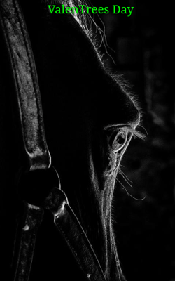 ValenTrees Day