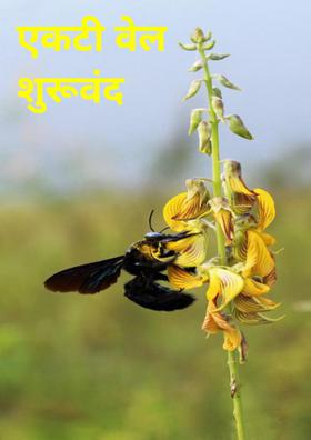 एकटी वेल शुरूवंद