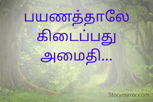 பயணத்தாலே கிடைப்பது அமைதி...