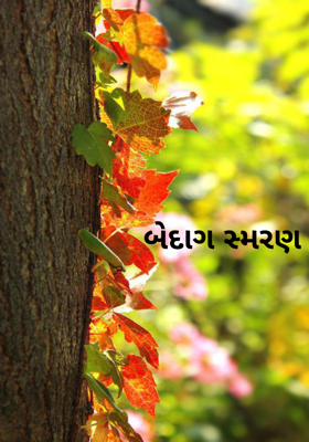 બેદાગ સ્મરણ