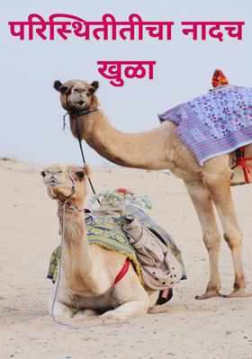 परिस्थितीतीचा नादच खुळा