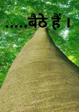 बैठे हैं