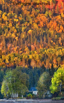 Everyone Deserves...