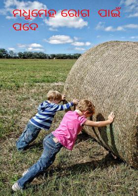 ମଧୁମେହ ରୋଗ  ପାଇଁ ପଦେ