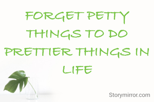 FORGET PETTY THINGS TO DO PRETTIER THINGS IN LIFE