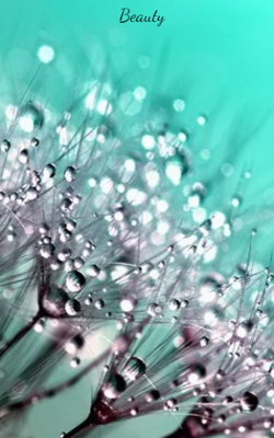 Beauty