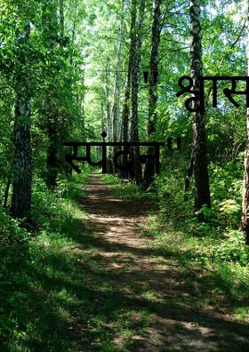 " श्वासाचे स्पंदन"