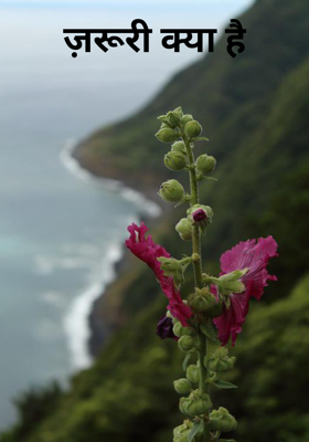 ज़रूरी क्या है