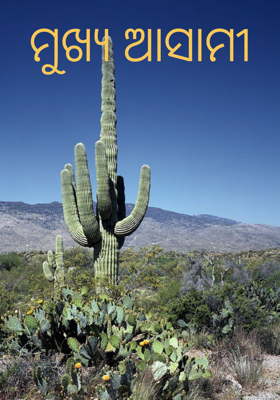 ମୁଖ୍ୟ ଆସାମୀ