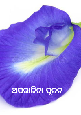 ଅପରାଜିତା ପୂଜନ