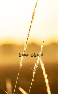 திருமந்திரம்