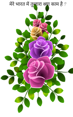 मेरे भारत में तुम्हारा क्या काम है