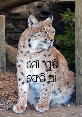 ମୋ  ପୁଷି  ଫେରି ଆ