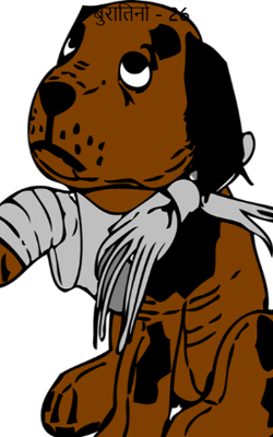 बुरातिनो - 26