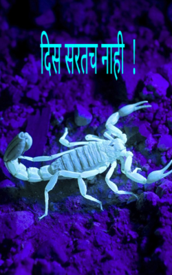 दिस सरतच  नाही !