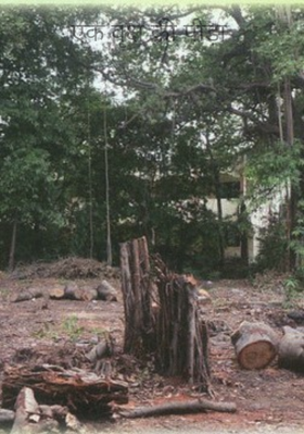 एक वृक्ष की पीड़ा